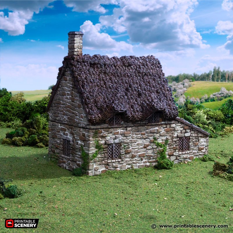 Crow Cottage 15mm 28mm 32mm for D&D Terrain, DnD Pathfinder Medieval Village, Printable Scenery King and Country, Gift for Tabletop Gamers