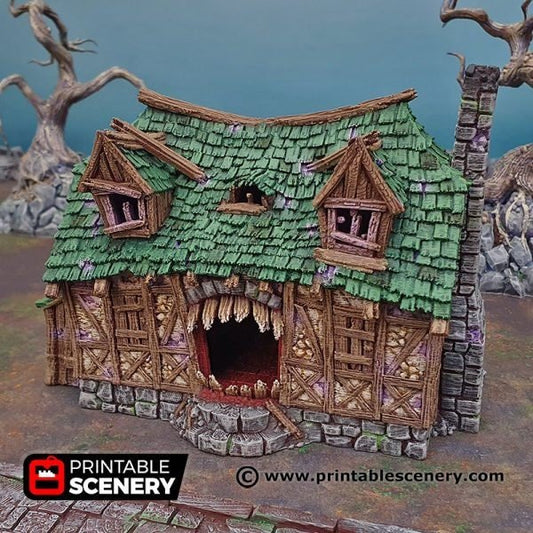 Mimic House 15mm 28mm 32mm for D&D Terrain, DnD Pathfinder Ravenloft Shadowfell Shadowfey, Gift for Tabletop Gamers